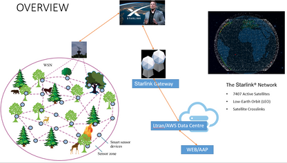 Starlink for Jungle/Forest Online Monitoring